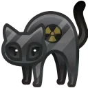 🐈‍⬛