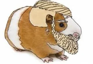 🐹