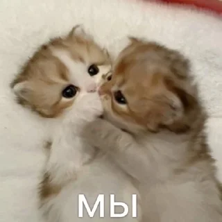 😘