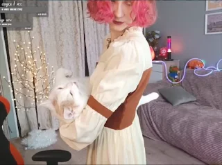 🐱