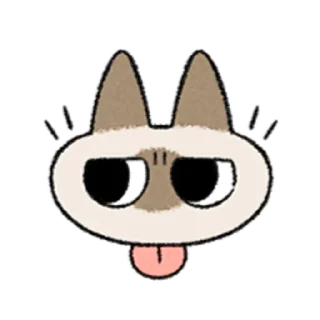 😺