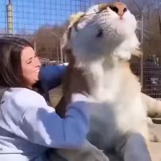 😁