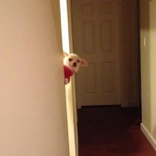 😑