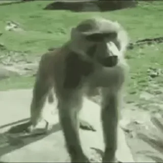 🤬