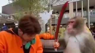 😕