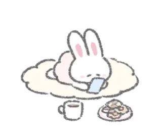 🐰