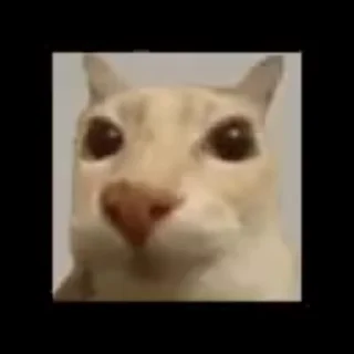 🤯