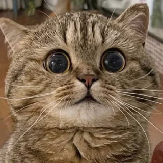 😳
