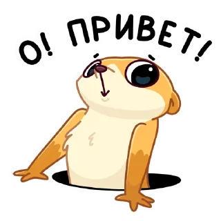 👋