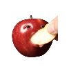 @klopfklopfm  fruits → hunger → cannibalism ↺
