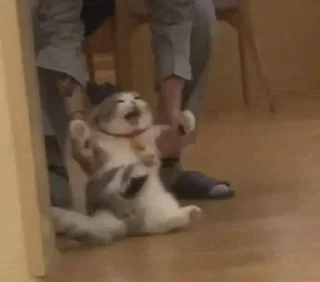 😠