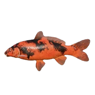 🐠