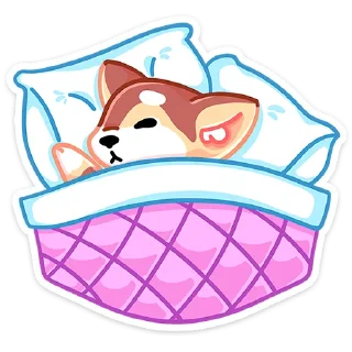 😴