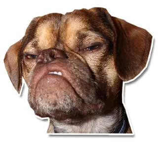 😠