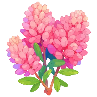 💐