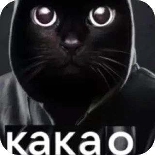 🫥