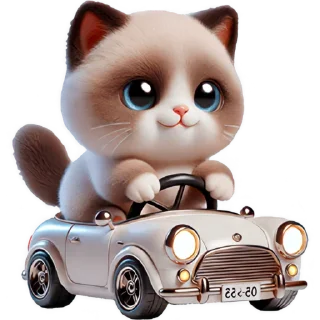 🚗