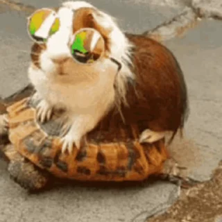 😎