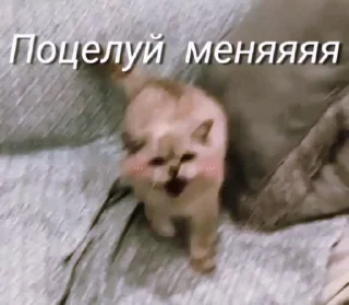 💕