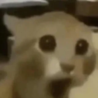 😨