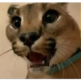 😧