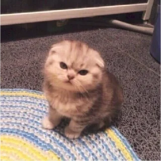 😠