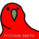 😂