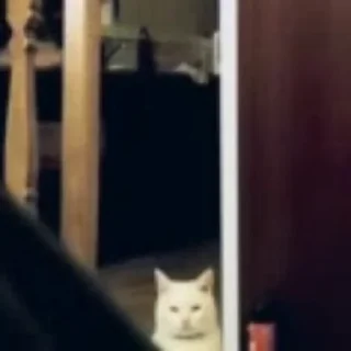 😠