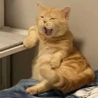 🥱