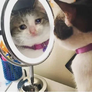 🥺