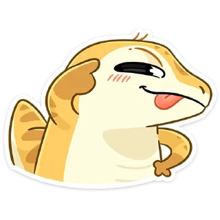 😛