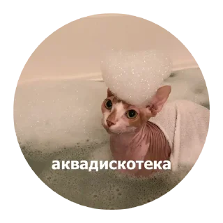 🥳