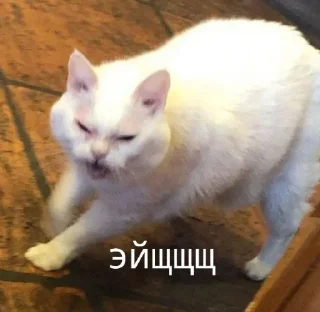 👹