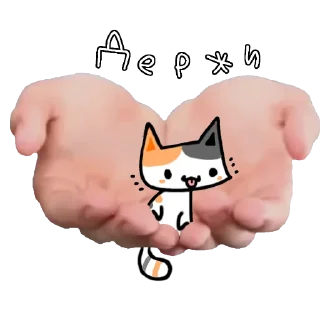 🐱