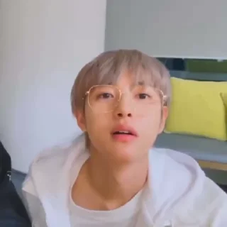 🦊