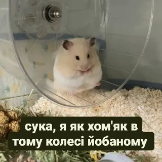 😡