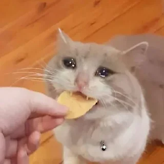 🍟