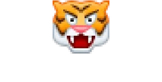 🐅