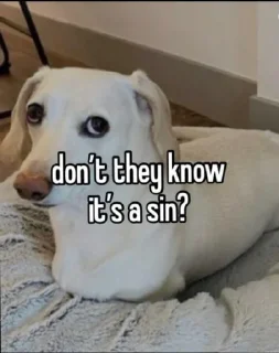 ✝