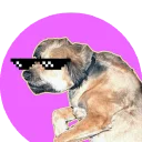 🐶