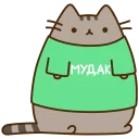 🐱