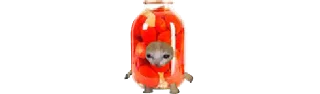 🍅