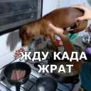 🥐