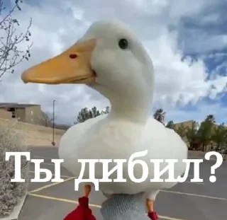 🤨