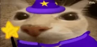 🪄