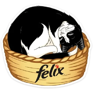 😴
