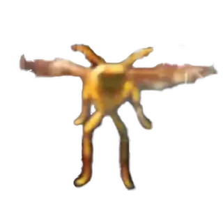 💪
