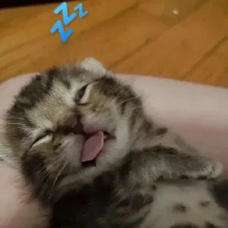 😴