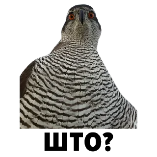 ❓