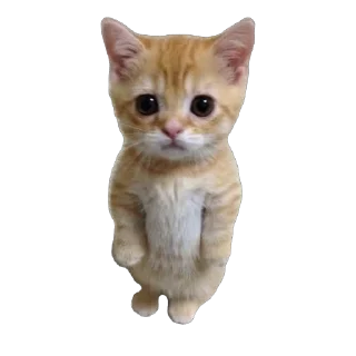 🥺